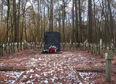 Cmentarz wojenny w lasach ościsłowskich, upamiętniający ofiary zbrodni niemieckich z okresu II wojny światowej, w tym pomordowanych 20 lutego 1940 r. (fot. E. Strzeszewska, IPN)