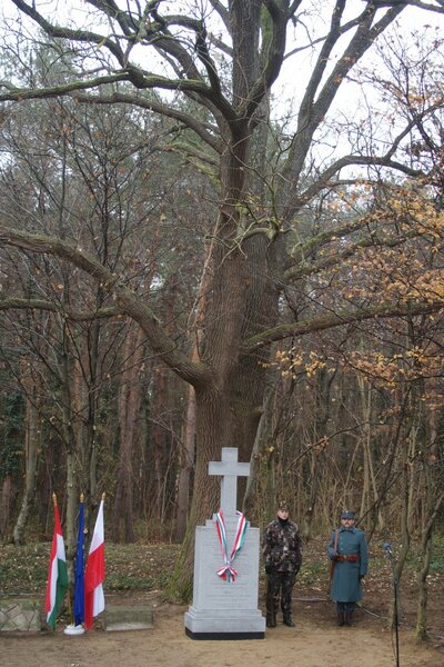 Warta honorowa przy grobie ppłk. Somssicha w Zalakomár w mundurach armii węgierskiej: obecnych i z okresu I wojny światowej (fot. Adam Siwek, BUW IPN)