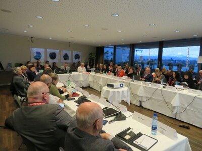 Wystąpienie dr. Mateusza Szpytmy na posiedzeniu Komitetu ds. Antysemityzmu i Zaprzeczania Holokaustowi IHRA