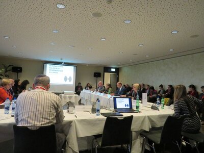 Wystąpienie dr. Mateusza Szpytmy na posiedzeniu Komitetu ds. Antysemityzmu i Zaprzeczania Holokaustowi IHRA