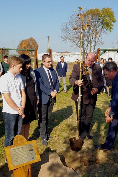 Dąb sadzi dyrektor białostockiego oddziału IPN dr hab. Piotr Kardela