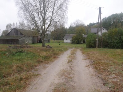 Widok na położone na uboczu, pośrodku Borów Tucholskich, gospodarstwo Państwa Łytkowskich. Tą drogą wyruszyła do Gdańska po raz ostatni „Inka”.