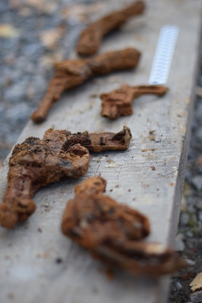 Fot. Adam Kondracki (IPN).