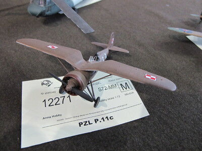 Model Bartłomieja Paduchowskiego PZL P 11 c.