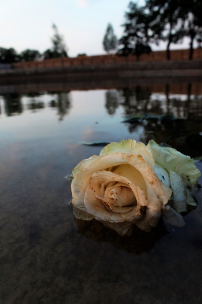 Fot. Urszula Gierasimiuk (OBEN IPN Białystok).