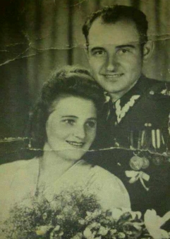 Fot. Strona internetowa https://ngopole.pl.