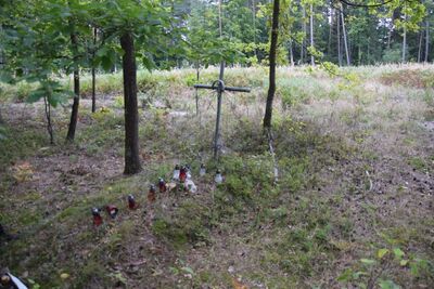 Apolonka – mogiła leśna.