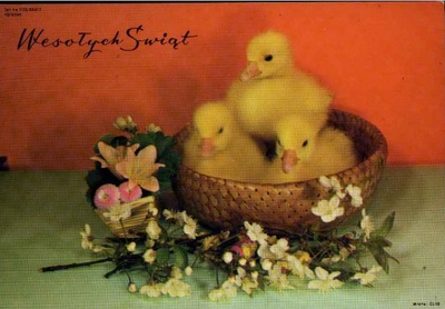 Kartka wysłana do Witolda Pomian-Biesiekierskiego, przebywającego w areszcie śledczym w Katowicach za kolportaż „nielegalnych pism, ulotek i wydawnictw o treści antypaństwowej”, 1986 r. (fot. S. Jabłońska, wyd. Krajowa Agencja Wydawnicza; IPN Ka 029/864, t. 2)