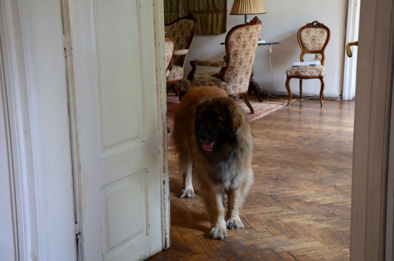 6 czerwca 2019. Krakowska gala ogólnopolskiego konkursu ziemiańskiego