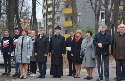 Dąb Niepodległości „Józef Piłsudski” zasadzony przed budynkiem VII LO w Kielcach