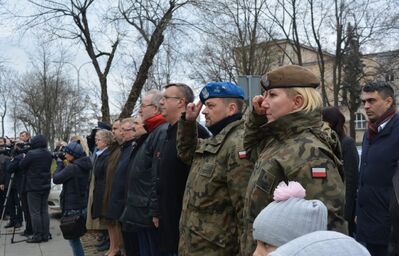 Dąb Niepodległości „Józef Piłsudski” zasadzony przed budynkiem VII LO w Kielcach