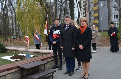 Dąb Niepodległości „Józef Piłsudski” zasadzony przed budynkiem VII LO w Kielcach