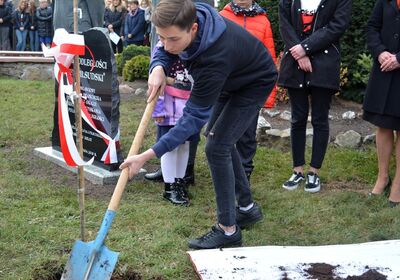 Dąb Niepodległości „Józef Piłsudski” zasadzony przed budynkiem VII LO w Kielcach