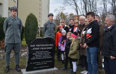 Dąb Niepodległości „Józef Piłsudski” zasadzony przed budynkiem VII LO w Kielcach