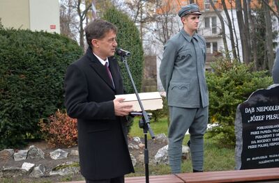 Dąb Niepodległości „Józef Piłsudski” zasadzony przed budynkiem VII LO w Kielcach