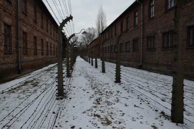 Uroczystości w 74. rocznicę wyzwolenia obozu Auschwitz-Birkenau