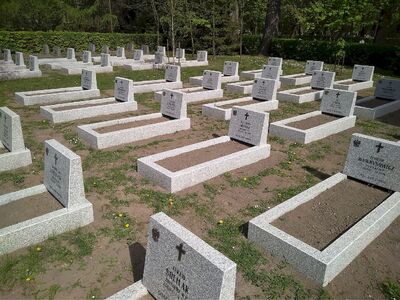 Cmentarz Rakowicki. Odnowione groby żołnierzy