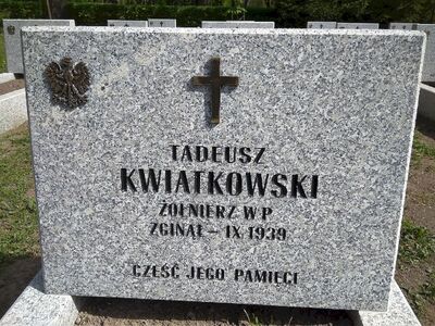 Cmentarz Rakowicki. Odnowione groby żołnierzy