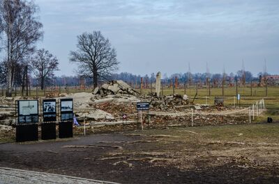 75. rocznica wyzwolenia niemieckiego nazistowskiego obozu Auschwitz-Birkenau, 27 stycznia 2020. Fot. Agnieszka Masłowska (IPN)