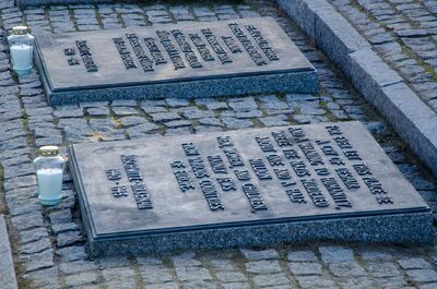 75. rocznica wyzwolenia niemieckiego nazistowskiego obozu Auschwitz-Birkenau, 27 stycznia 2020. Fot. Agnieszka Masłowska (IPN)