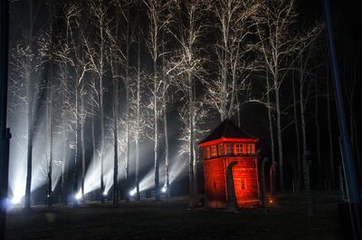 75. rocznica wyzwolenia niemieckiego nazistowskiego obozu Auschwitz-Birkenau, 27 stycznia 2020. Fot. Agnieszka Masłowska (IPN)