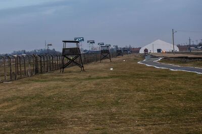 75. rocznica wyzwolenia niemieckiego nazistowskiego obozu Auschwitz-Birkenau, 27 stycznia 2020. Fot. Agnieszka Masłowska (IPN)