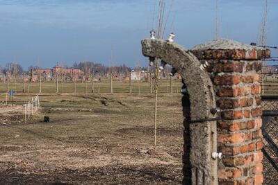 75. rocznica wyzwolenia niemieckiego nazistowskiego obozu Auschwitz-Birkenau, 27 stycznia 2020. Fot. Agnieszka Masłowska (IPN)