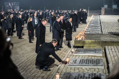 75. rocznica wyzwolenia niemieckiego nazistowskiego obozu Auschwitz-Birkenau, 27 stycznia 2020. Fot. Agnieszka Masłowska (IPN)