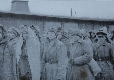 Więźniowie KL Sachsenhausen