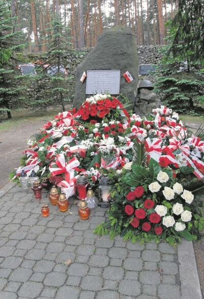 Szaniec „Hubala” w lesie pod Anielinem. Miejsce śmierci majora. Fot. Marek Jedynak (IPN)