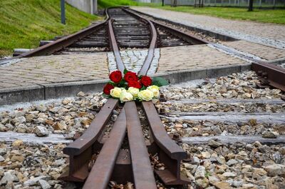 14 czerwca 2020, Oświęcim. Fot. Monika Wojtyca-Gaweł (IPN)