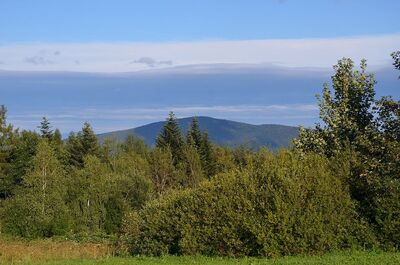 IX nocny marsz śladami gen. Nila. Fot. Janusz Ślęzak (IPN)