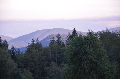 IX nocny marsz śladami gen. Nila. Fot. Janusz Ślęzak (IPN)