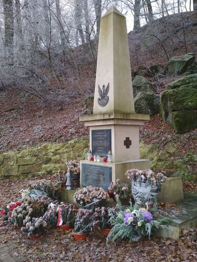 Krakowski IPN sfinansował orły AK i NSZ na pomniku w Łapanowie