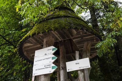 XV Rajd Szlakami Żołnierzy Wyklętych im. „Ognia”. Fot. Agnieszka Masłowska (IPN)