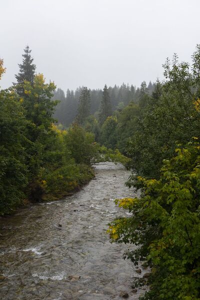 XV Rajd Szlakami Żołnierzy Wyklętych im. „Ognia”. Fot. Agnieszka Masłowska (IPN)