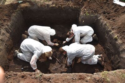 Ekshumacja przeprowadzona przez IPN w Wierzbicy. Fot. IPN