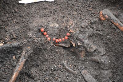 Ekshumacja przeprowadzona przez IPN w Wierzbicy. Fot. IPN