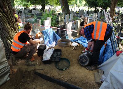 Prace poszukiwawcze na cmentarzu Rakowickim w Krakowie. Fot. IPN