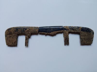 Prace poszukiwawcze na cmentarzu Rakowickim w Krakowie. Fot. IPN