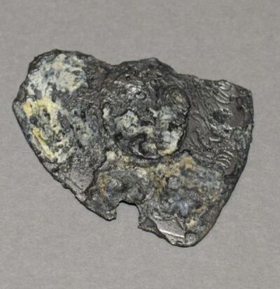 Fragmenty ryngrafu odnalezionego przy szczątkach Józefa Orkisza „Lotnego” (fot. Agnieszka Żydzik-Białek)