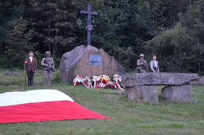 XII nocny marsz śladami gen. Nila. Fot. Janusz Ślęzak (IPN)