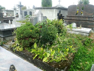 Grób przed remontem