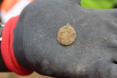 Prace poszukiwawczo-ekshumacyjne na Cmentarzu Rakowickim w Krakowie