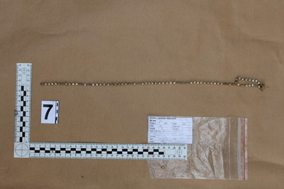 Prace poszukiwawczo-ekshumacyjne na Cmentarzu Rakowickim w Krakowie