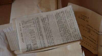 Odnalezione w Olkuszu archiwum 116 pp AK. Fot. IPN