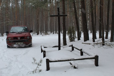 Lasy Sobiborskie - okolice wsi Adamki. Fot. Mariusz Sawa