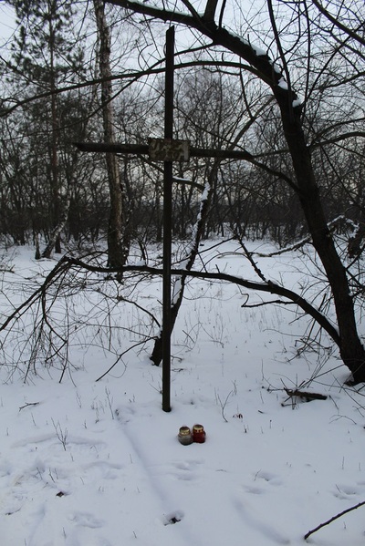 Pod Puławami - prawdopodobnie spoczywają tam żołnierze polscy polegli w 1939 roku. Fot. Mariusz Sawa