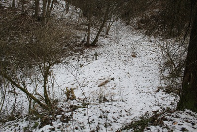Zarzeka - mogiła nieznanego żołnierza polskiego zamordowanego, gdy wracał z frontu pod koniec II wojny światowej. Fot. Mariusz Sawa