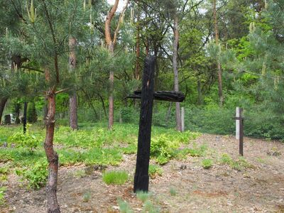 Cmentarz w Ostrówkach